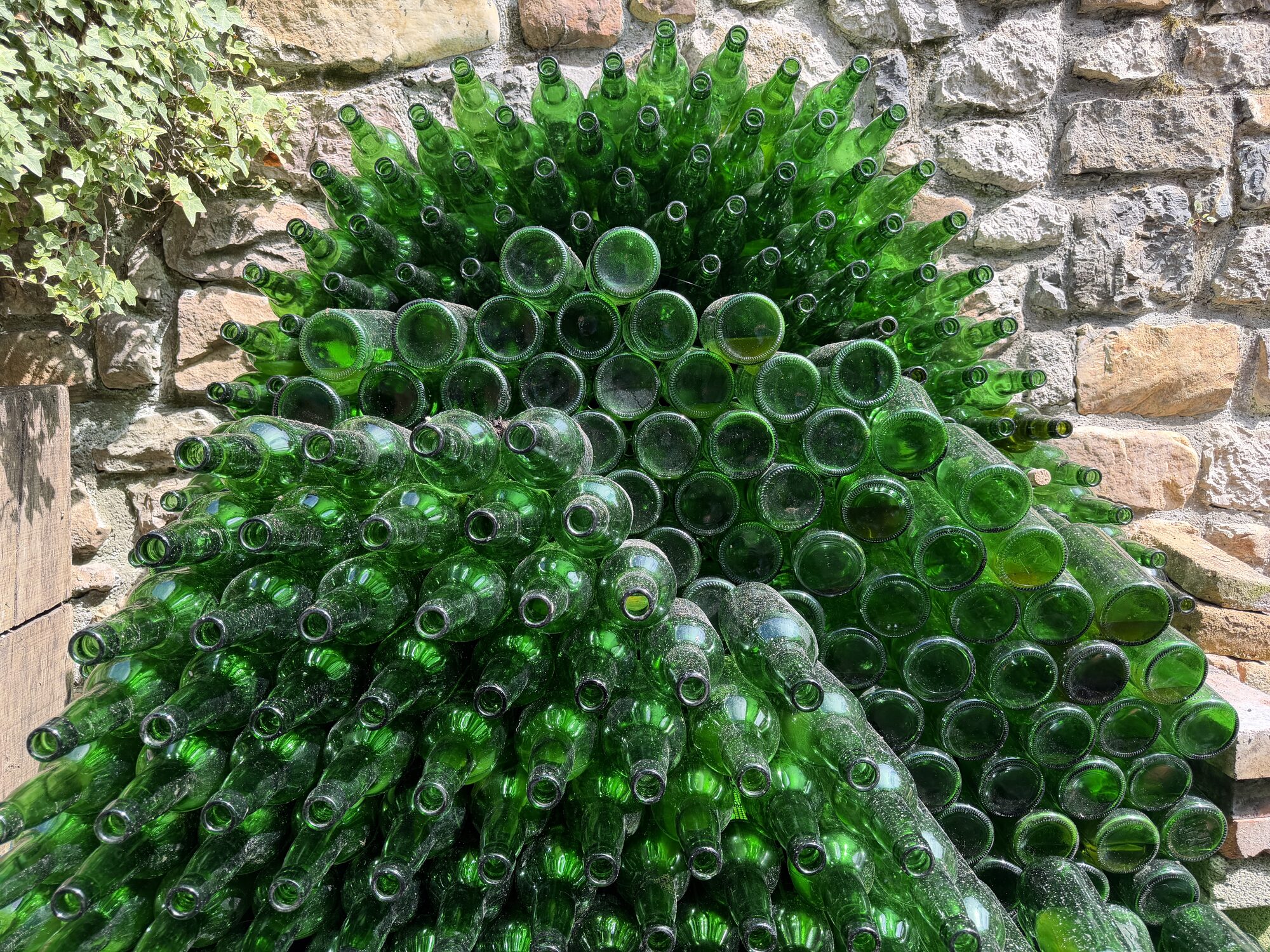 Botellas de sidra casera
