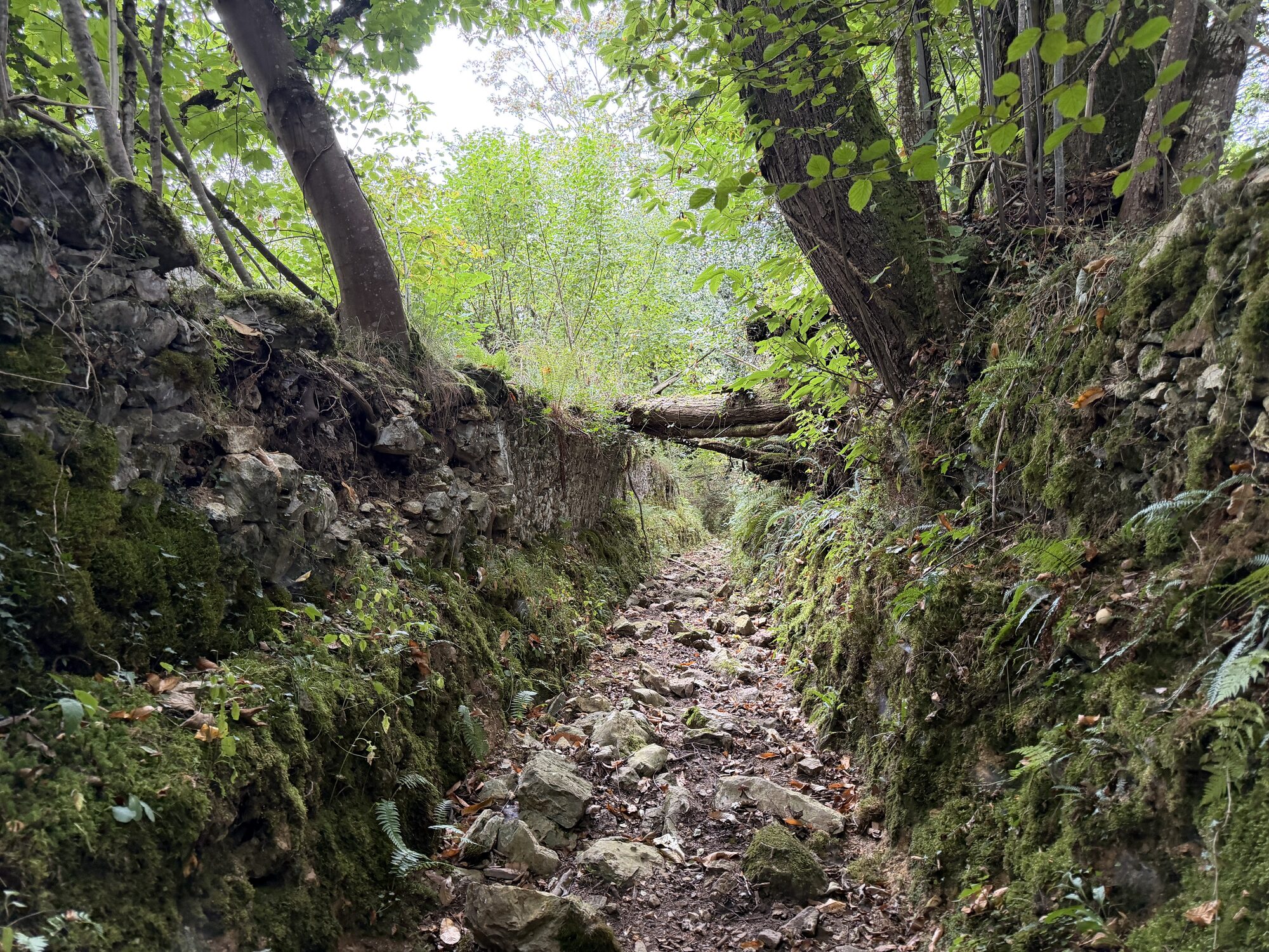 Caminos antiguos