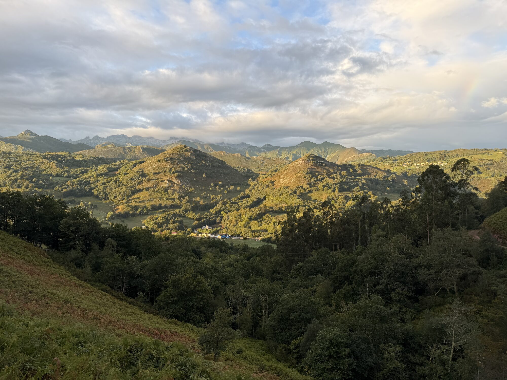 Paisaje verde precioso